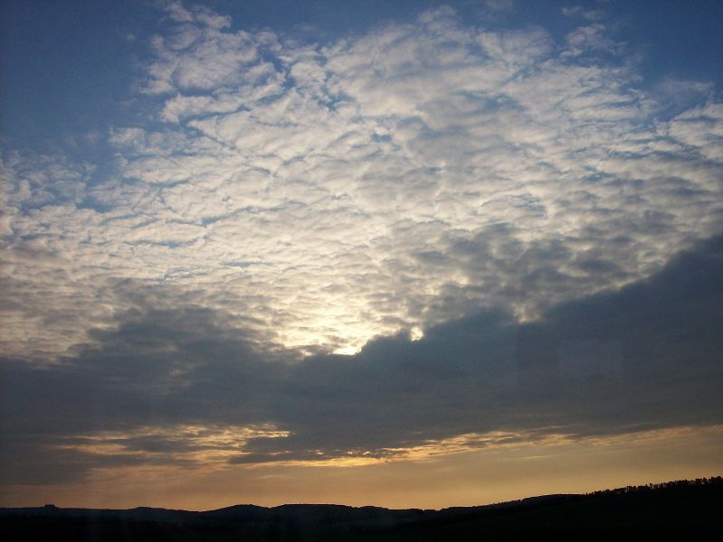 100_2031.jpg