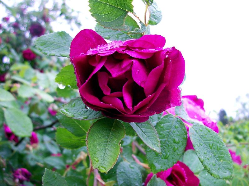 100_2202.jpg