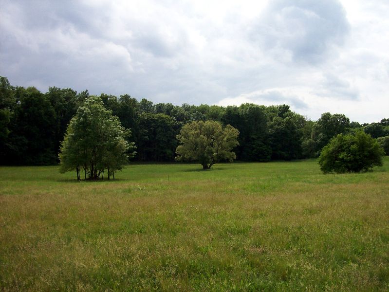 100_2292.jpg