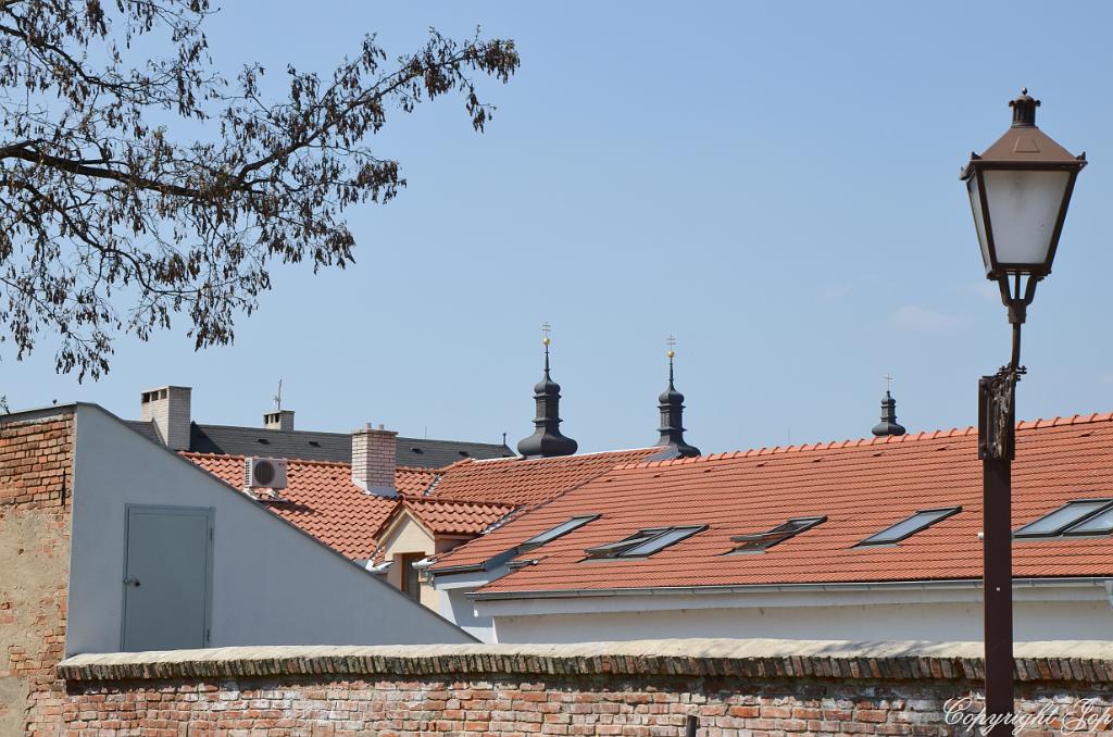 DSC_0277.jpg