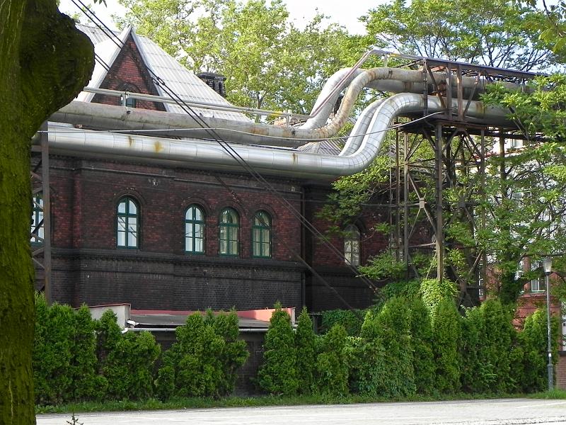 DSCN0895.jpg