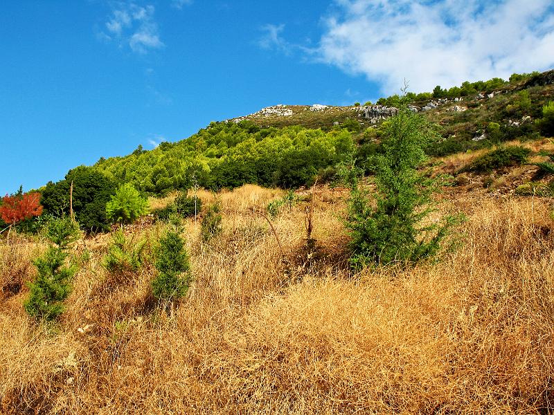 IMG_4602.jpg - Zakynthos