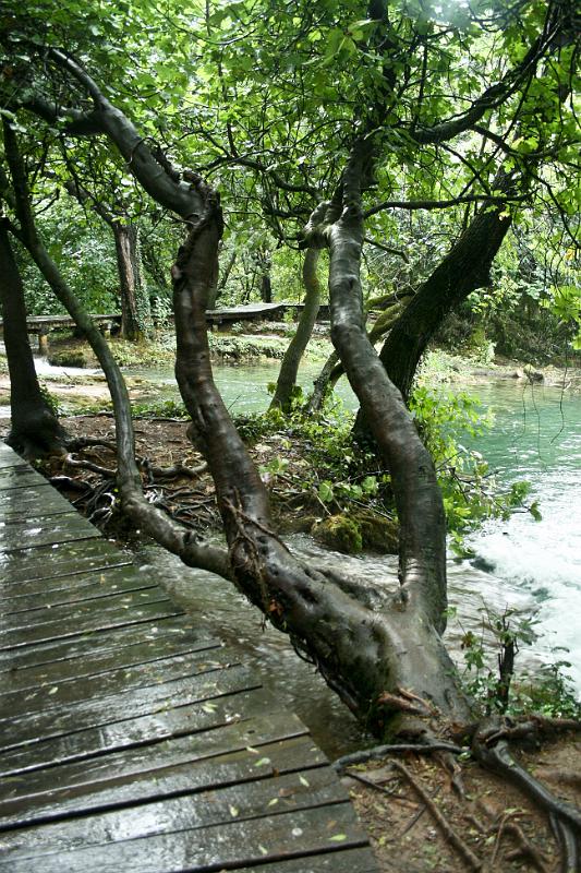 100926-038.jpg - NP Krka