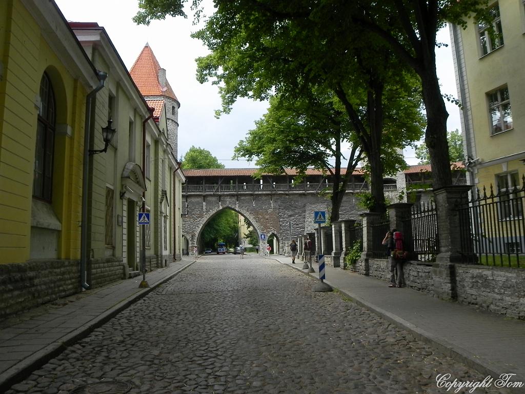 DSCN6327.jpg - Tallin