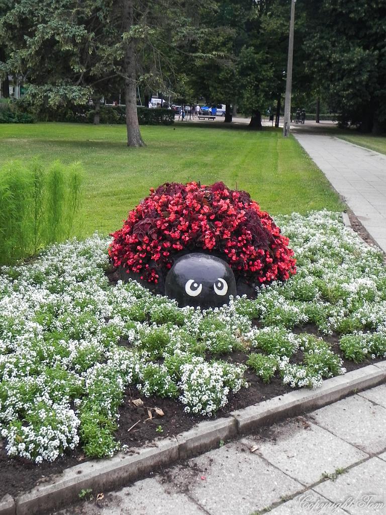 DSCN6339.jpg - Tartu
