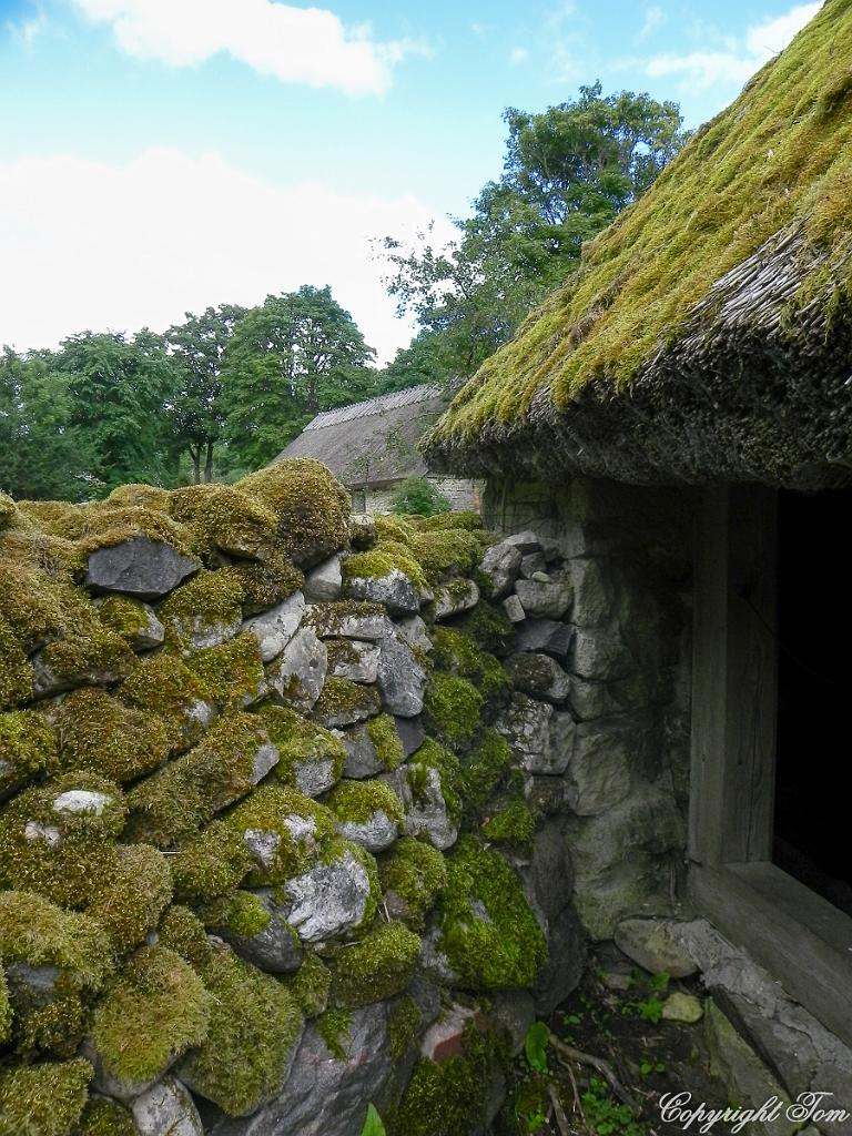 DSCN6771.jpg - ostrov Muhu