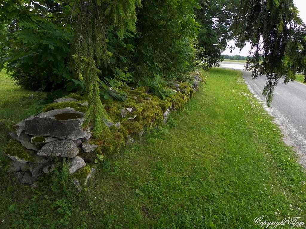 DSCN6876.jpg - ostrov Saaremaa