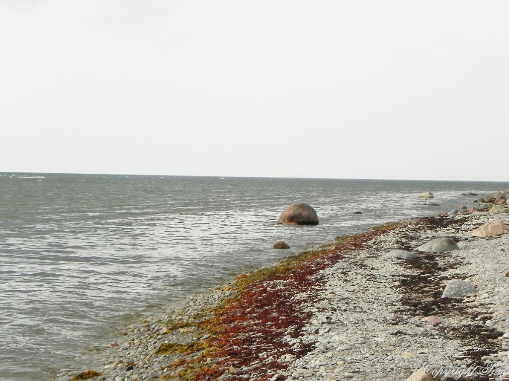DSCN6904.jpg - ostrov Saaremaa