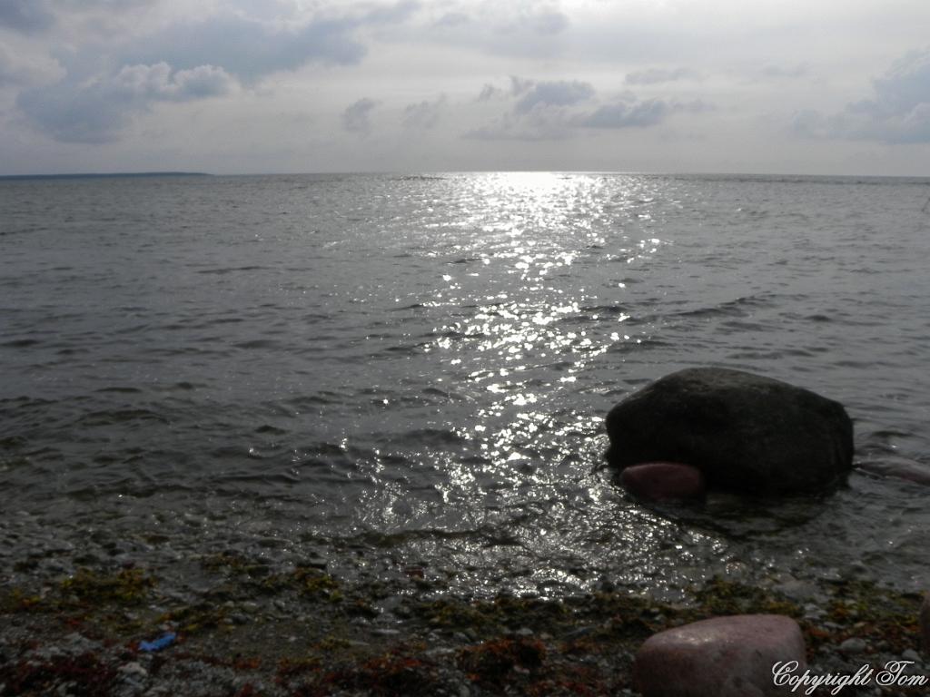 DSCN6920.jpg - ostrov Saaremaa