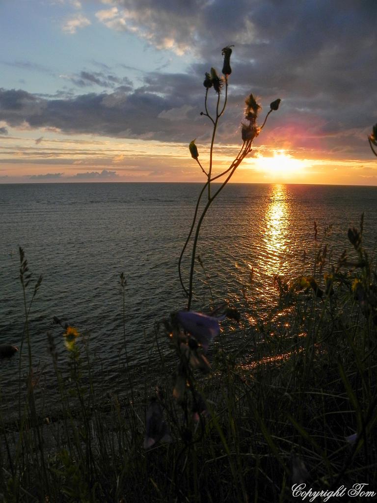 DSCN6964.jpg - ostrov Saaremaa
