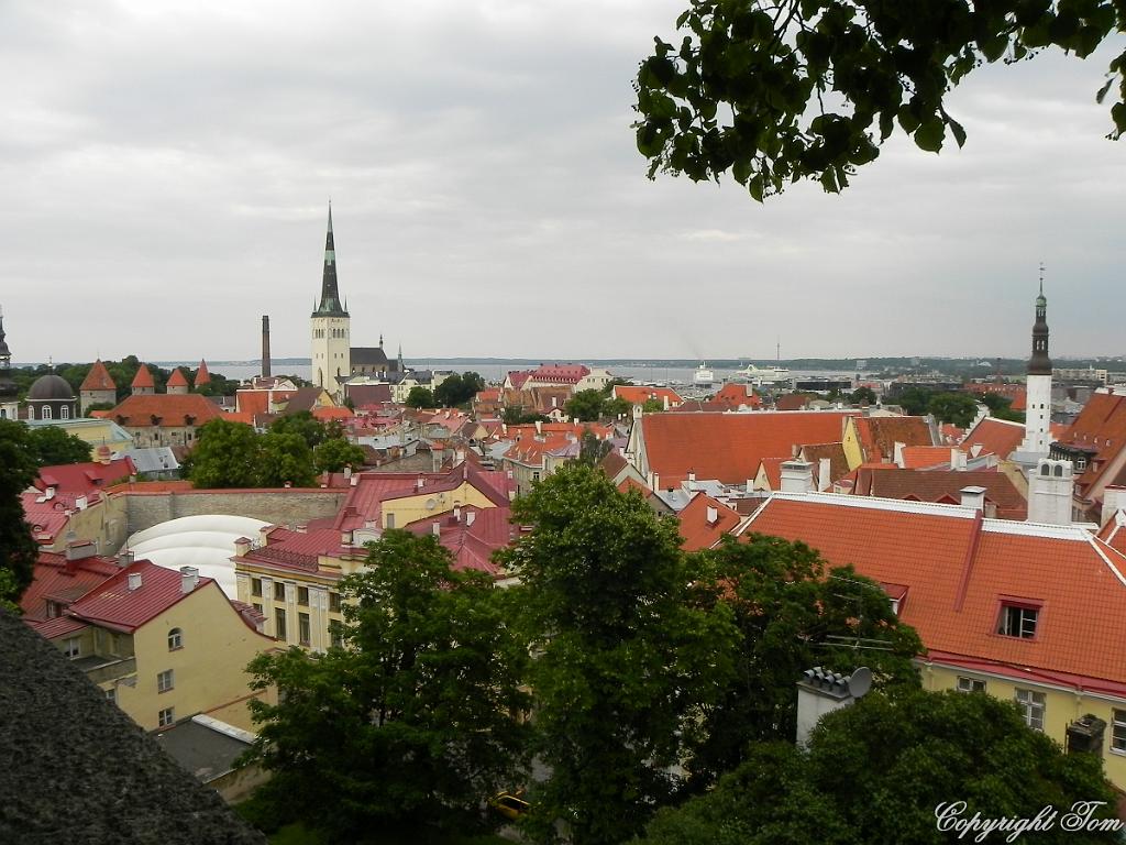 DSCN7192.jpg - Tallin