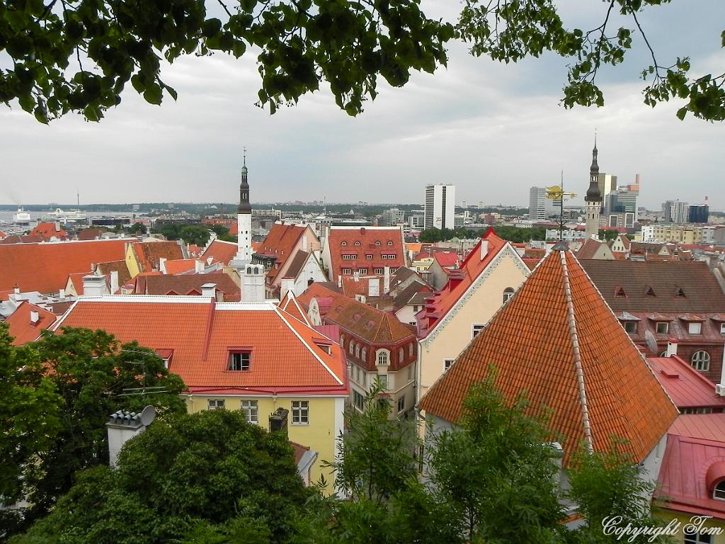 DSCN7193.jpg - Tallin