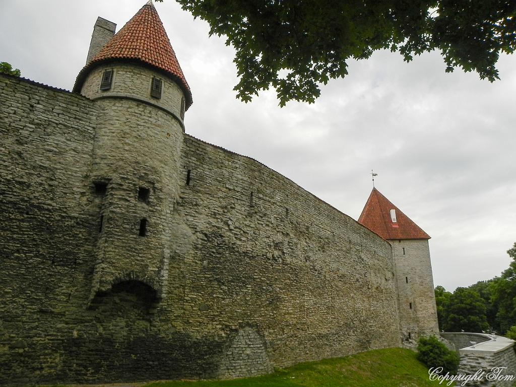 DSCN7196.jpg - Tallin