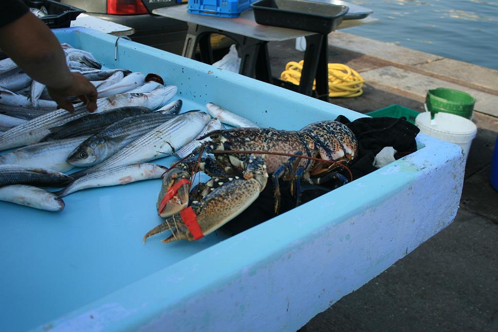 110617-005.JPG