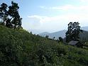 IMG_4854