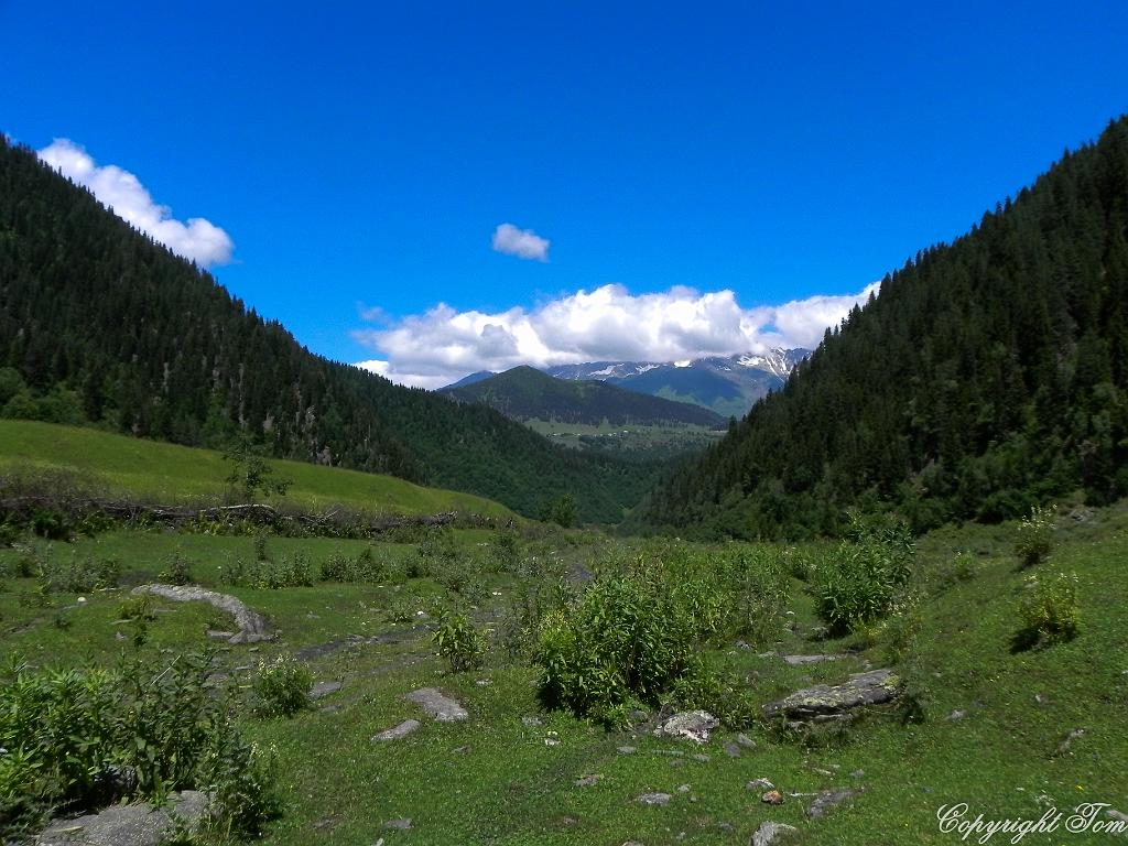 DSCN7656.jpg - Svanetie
