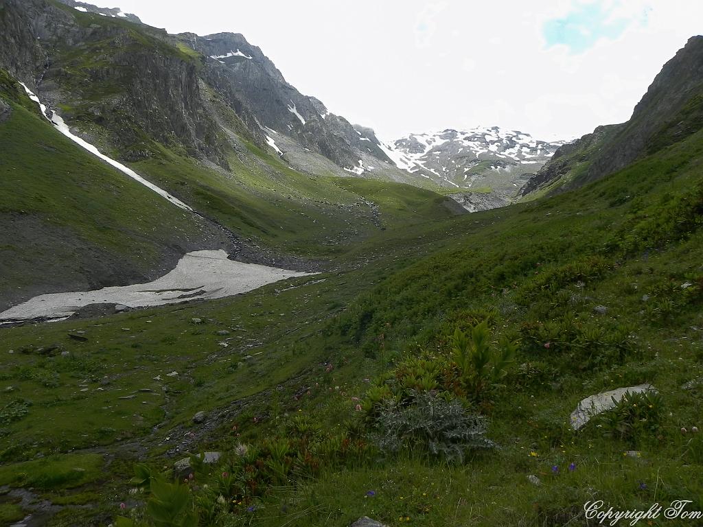 DSCN7835.jpg - Svanetie