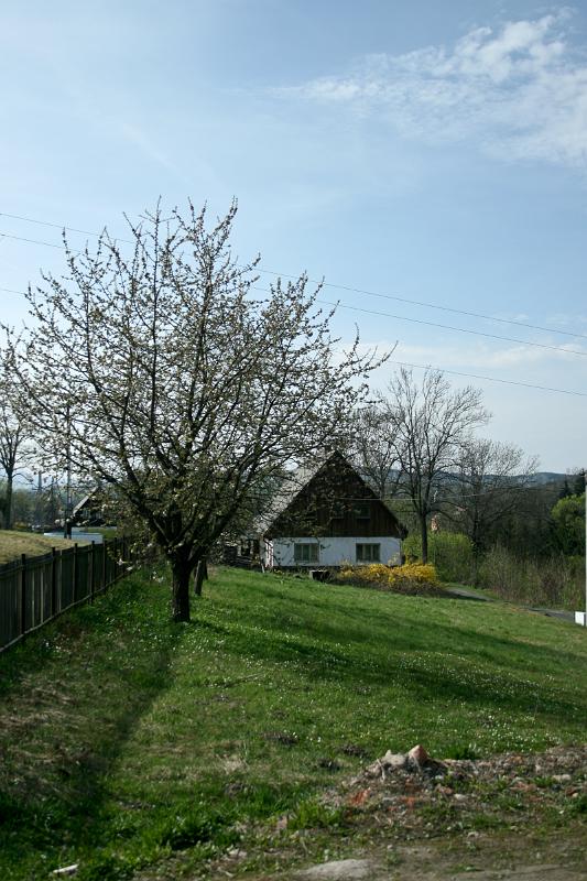 100429-10.jpg - Pulečný