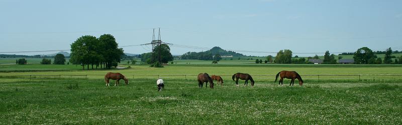 100612-06.jpg - panorama