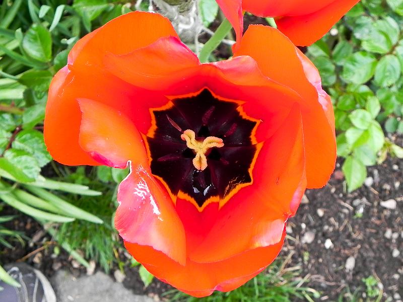 DSCN0589.jpg