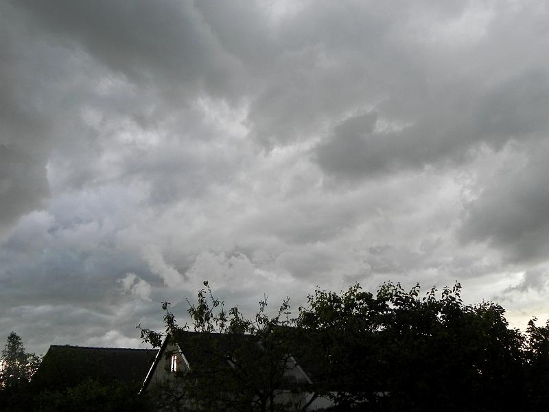 DSCN0770.jpg