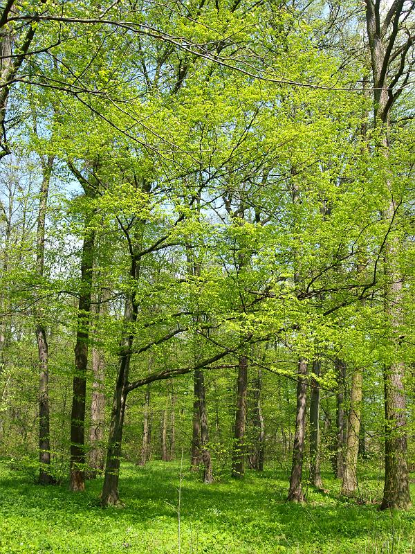 P4276442.jpg
