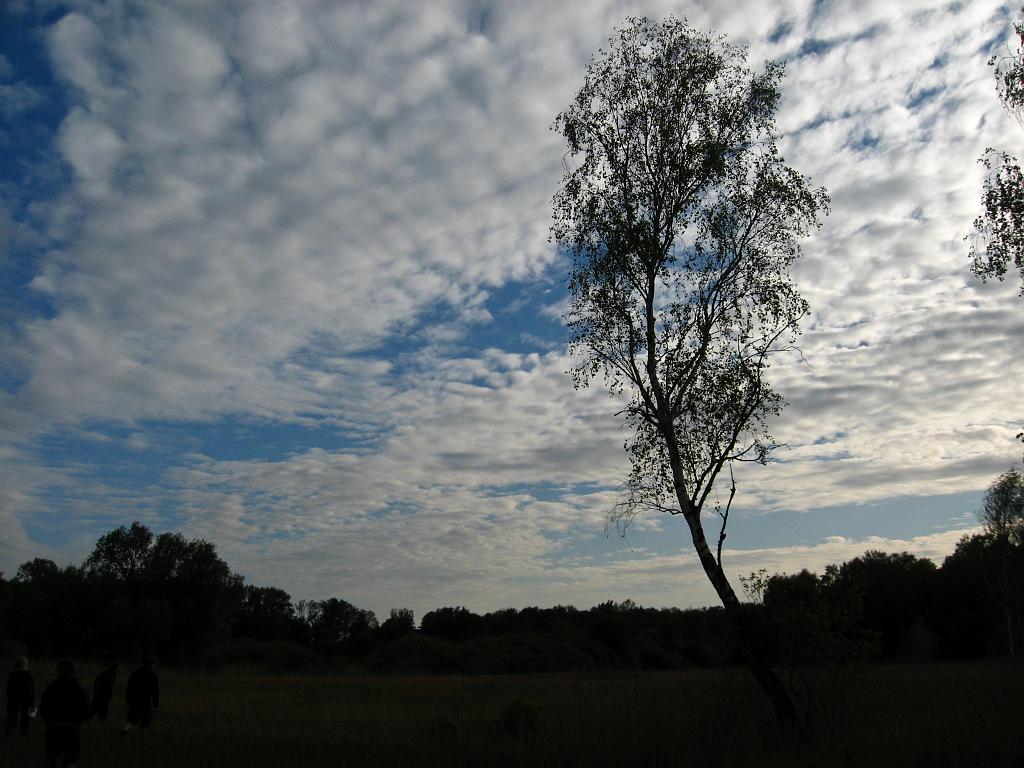 IMG_7368.jpg