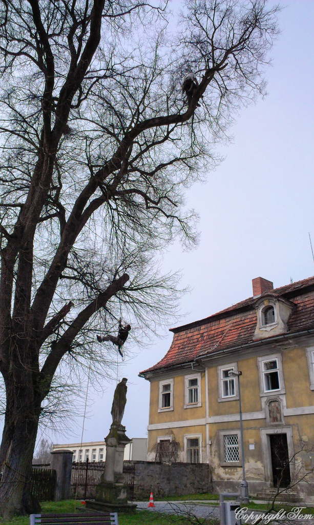 IMAG0212.jpg - Květy Českého krasu