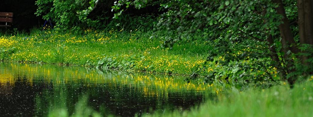 2016_06_15.JPG