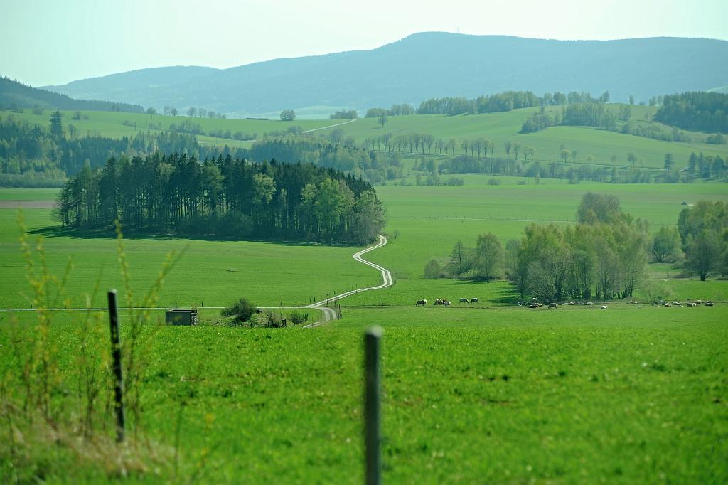 dub2_035_19.JPG - Moravská chata, Paprsek. Dolní Morava