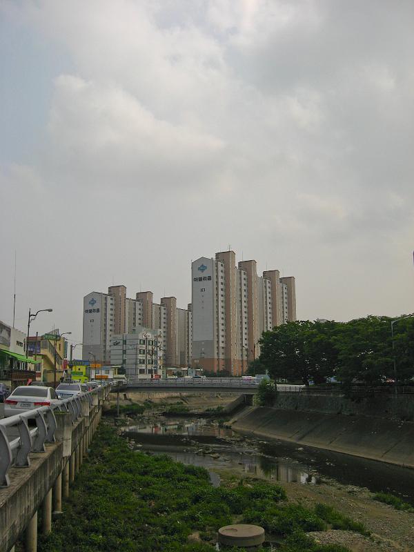 IMG_8181.jpg
