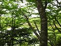 IMG_6632
