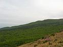 IMG_6657