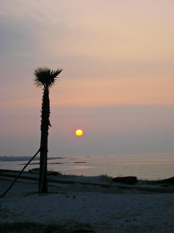 IMG_7394.jpg - JEJU - island