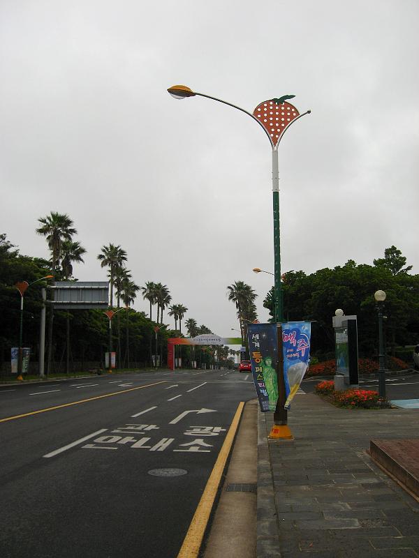 IMG_7873.jpg - JEJU - island