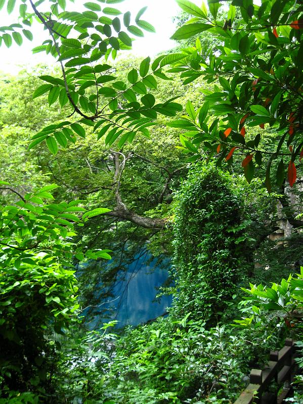 IMG_7887.jpg - JEJU - island