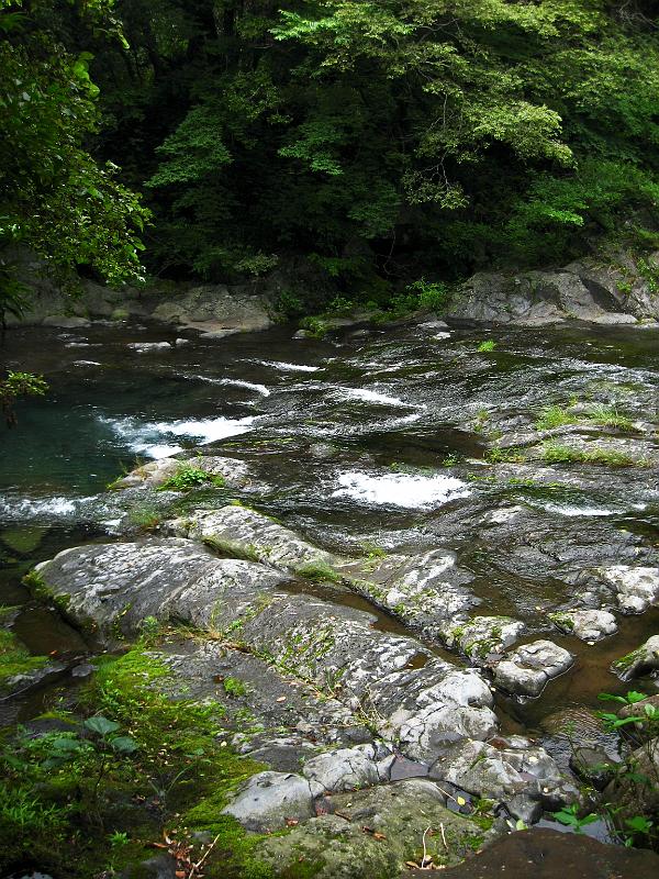 IMG_7904.jpg - JEJU - island