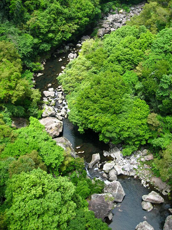 IMG_7935.jpg - JEJU - island