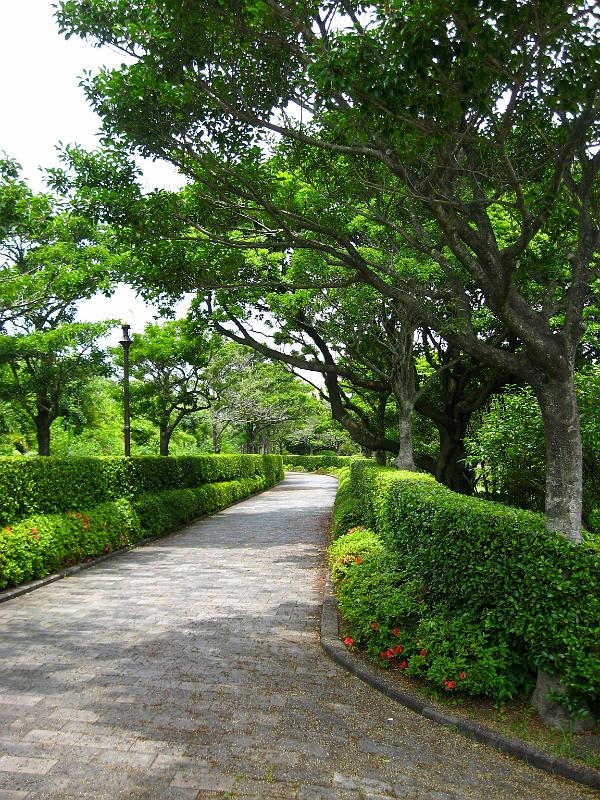 IMG_7945.jpg - JEJU - island