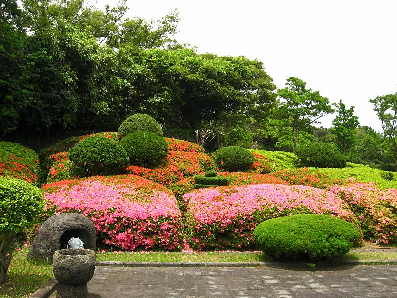 IMG_7949.jpg - JEJU - island