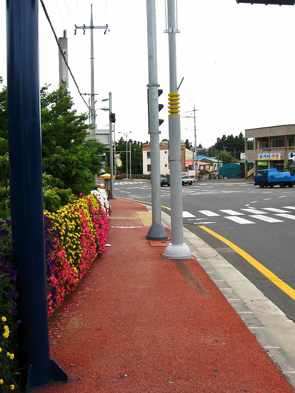 IMG_7964.jpg - JEJU - island