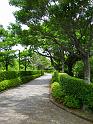 IMG_7945