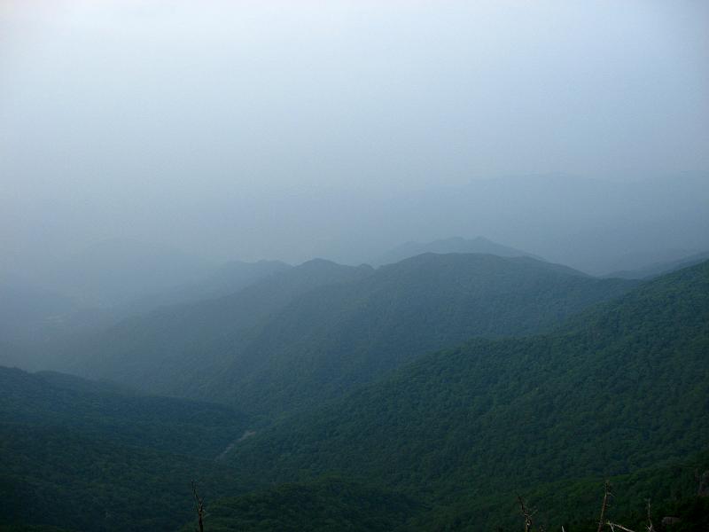 IMG_8527.jpg