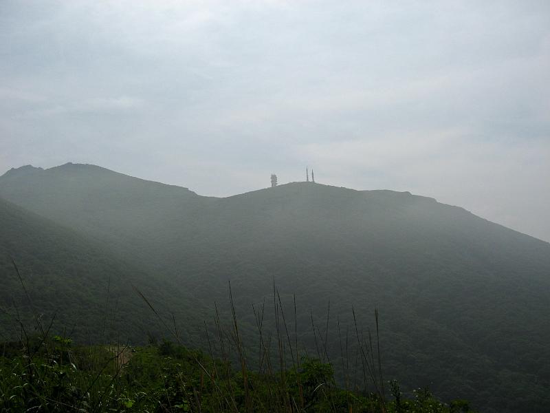 IMG_8272.jpg