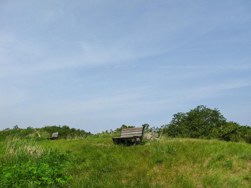 IMG_8285.jpg