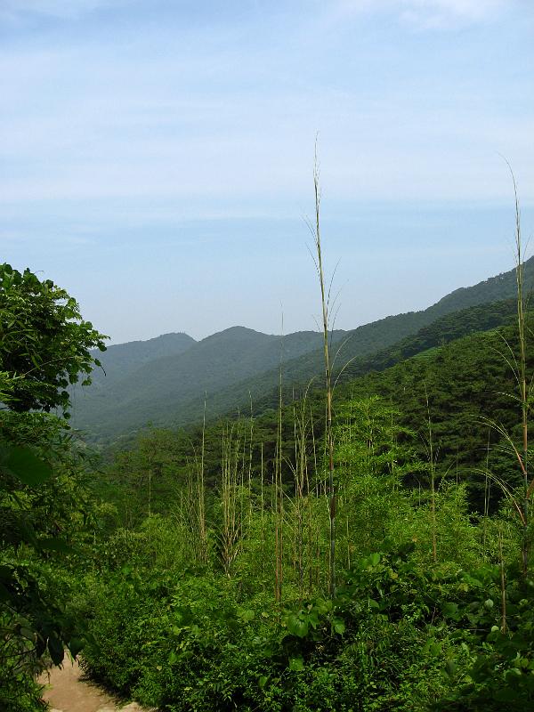 IMG_8308.jpg