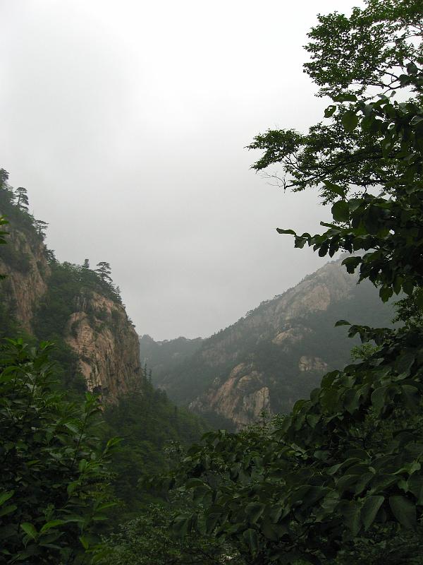 IMG_9266.jpg