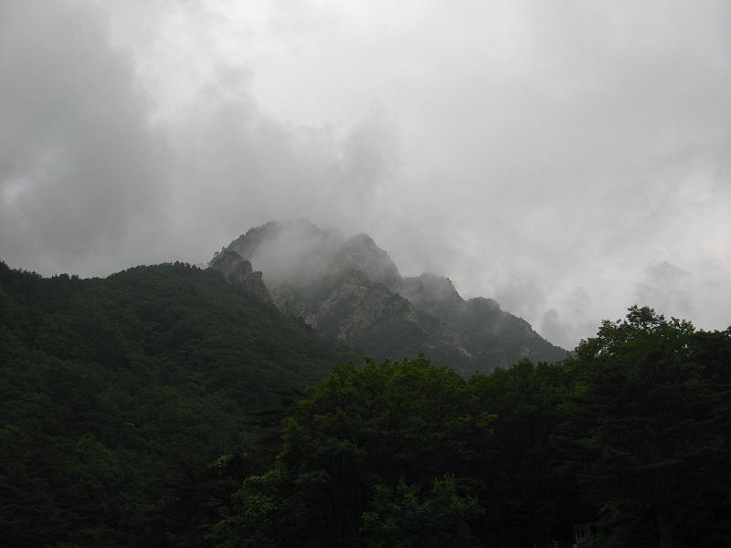 IMG_9422.jpg