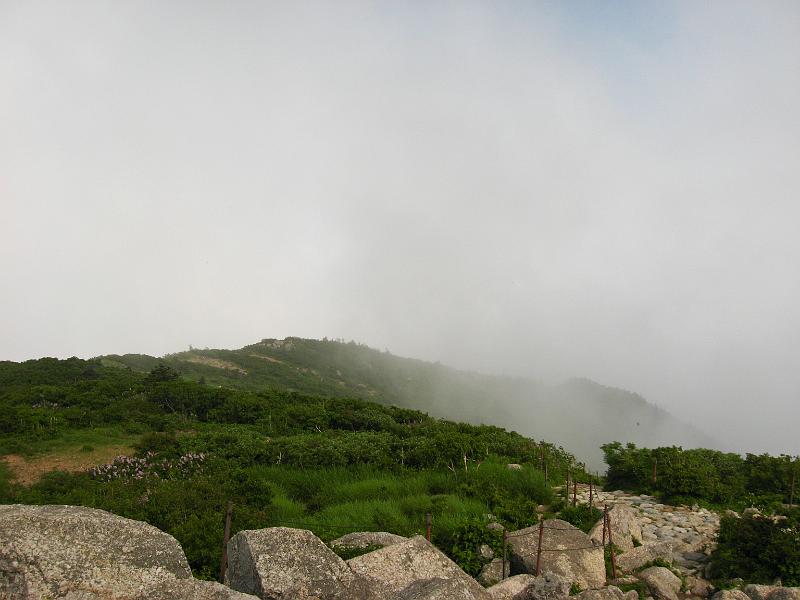 IMG_9497.jpg