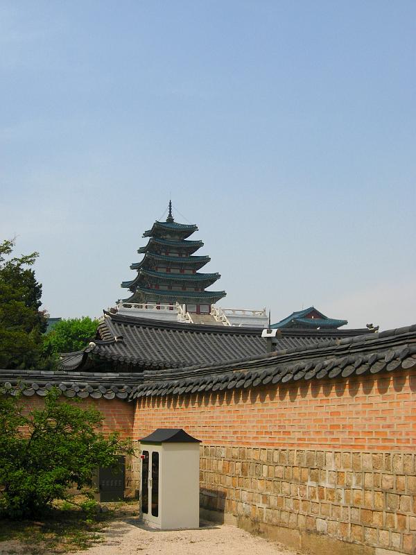 IMG_6218.jpg